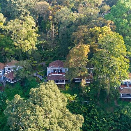 The Tall Trees Munnar Bagian luar foto
