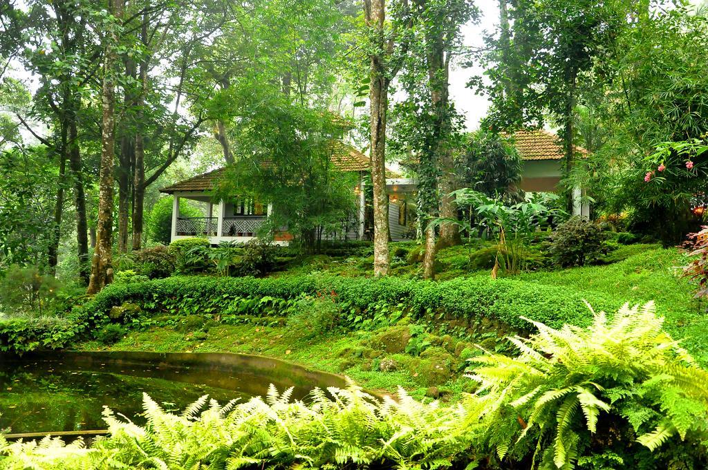 The Tall Trees Munnar Bagian luar foto