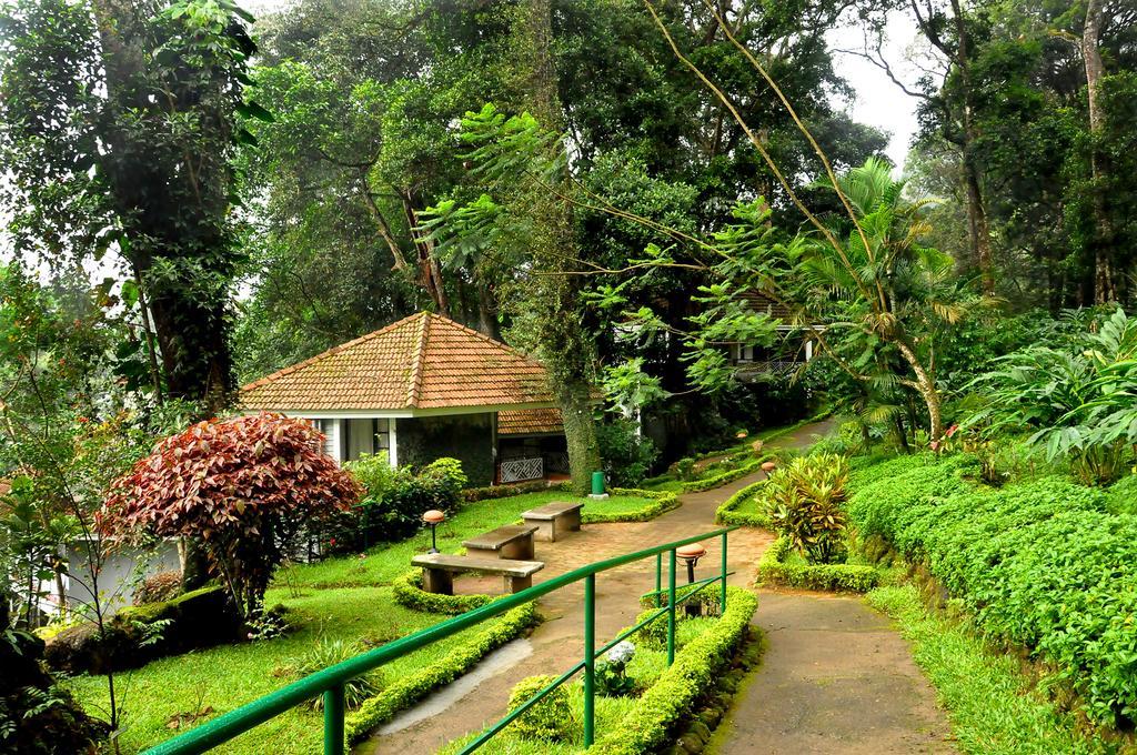 The Tall Trees Munnar Bagian luar foto