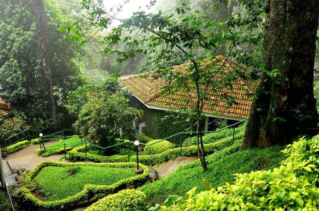 The Tall Trees Munnar Bagian luar foto
