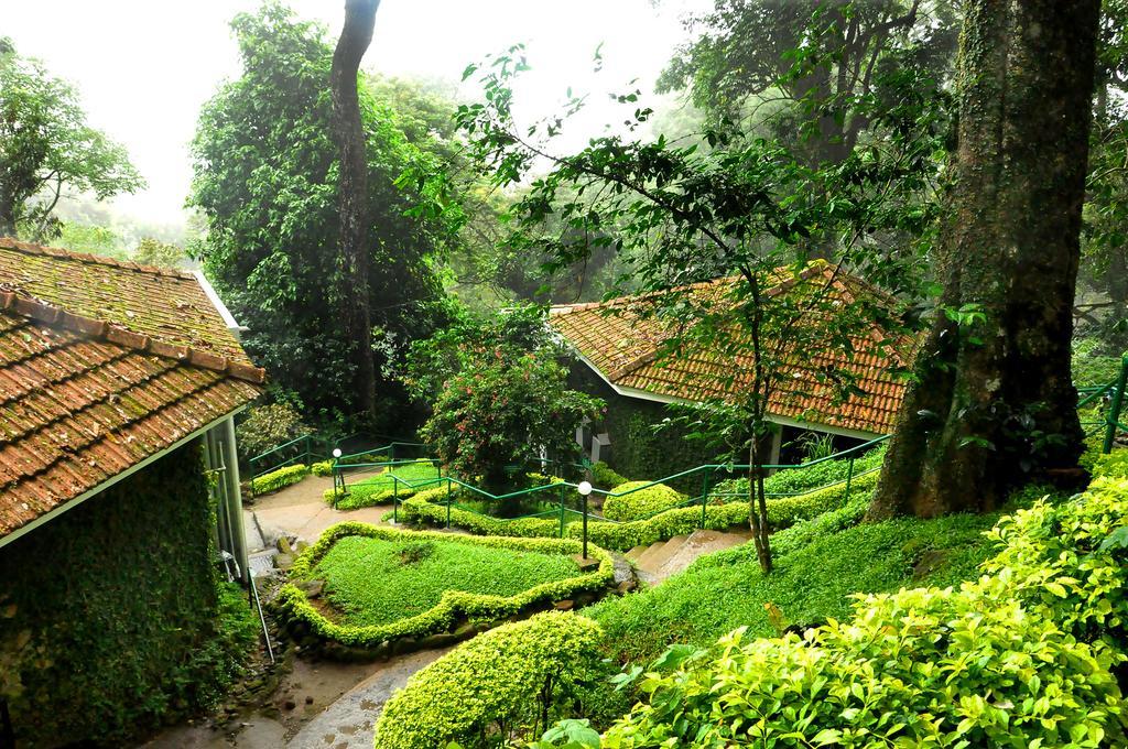 The Tall Trees Munnar Bagian luar foto