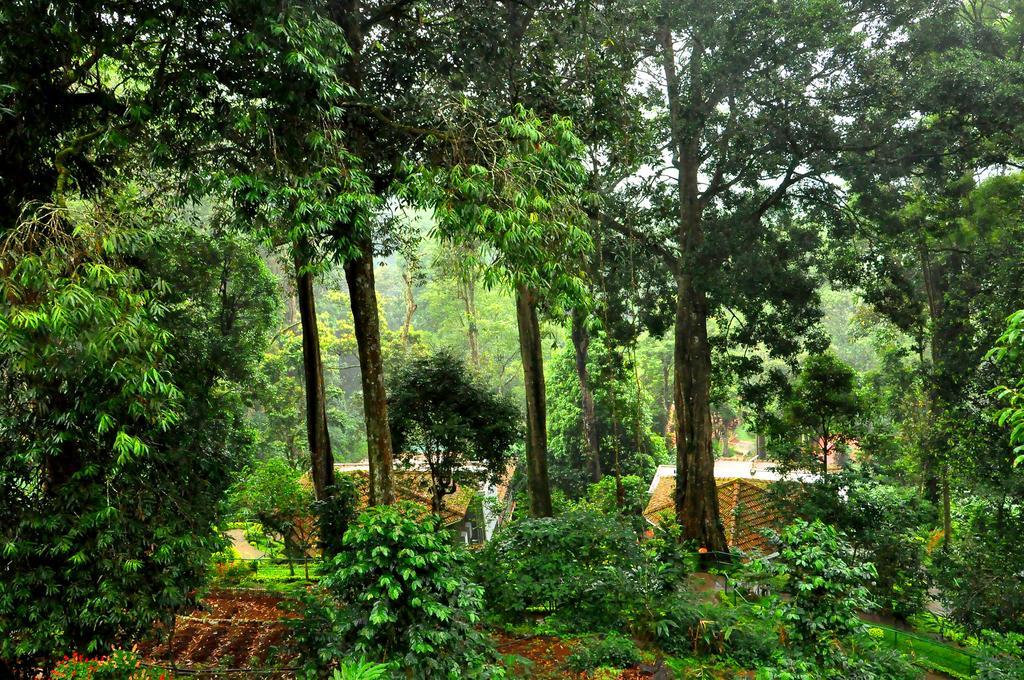 The Tall Trees Munnar Bagian luar foto