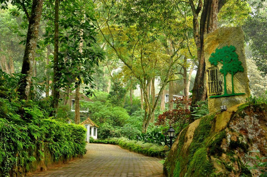 The Tall Trees Munnar Bagian luar foto