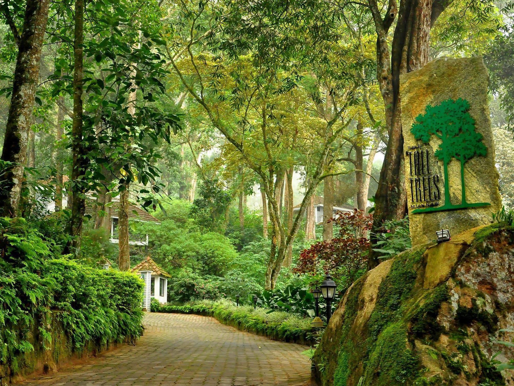 The Tall Trees Munnar Bagian luar foto