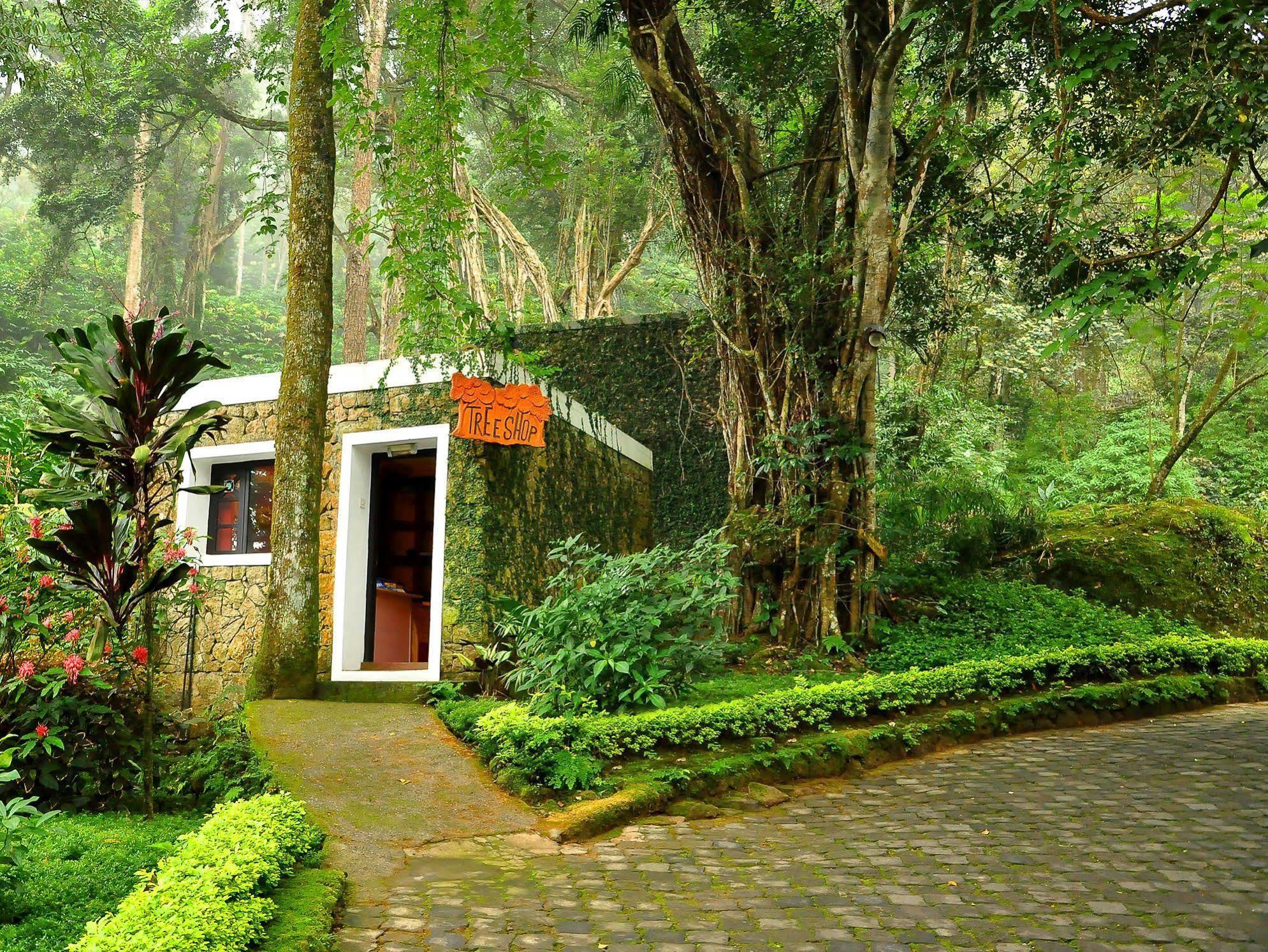 The Tall Trees Munnar Bagian luar foto