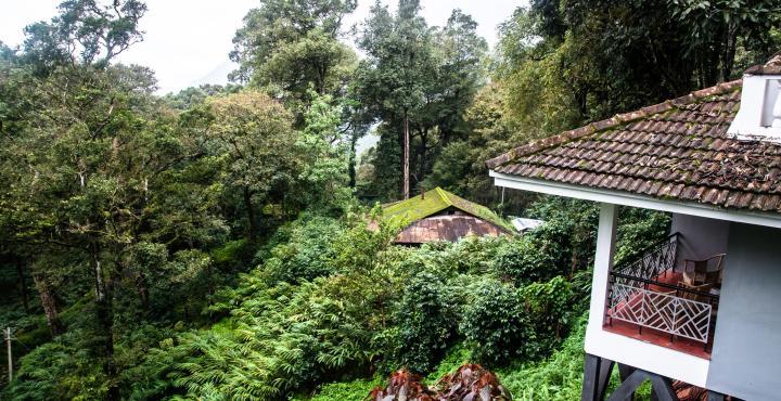 The Tall Trees Munnar Bagian luar foto