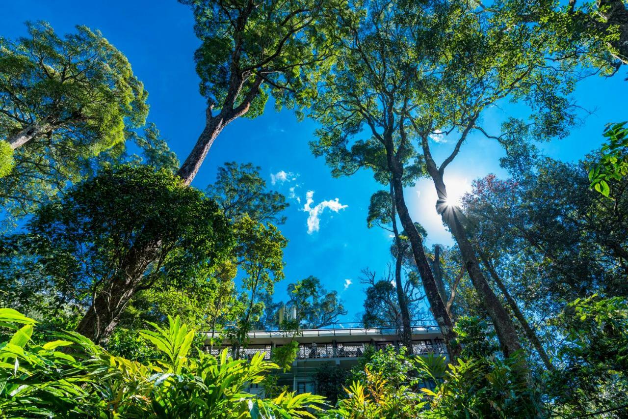 The Tall Trees Munnar Bagian luar foto