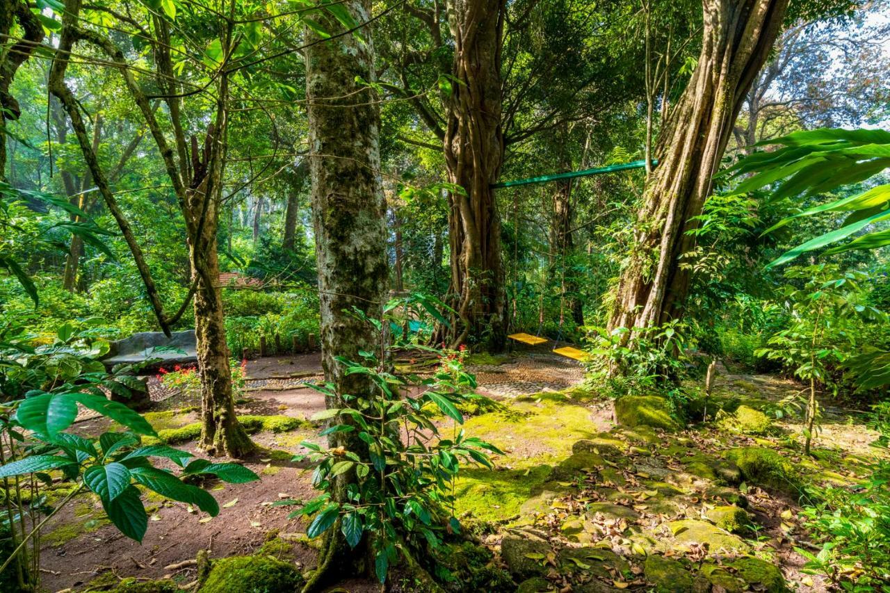 The Tall Trees Munnar Bagian luar foto