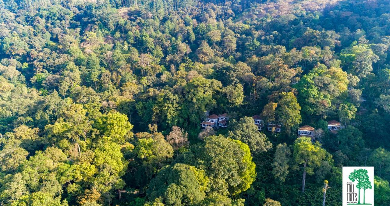 The Tall Trees Munnar Bagian luar foto