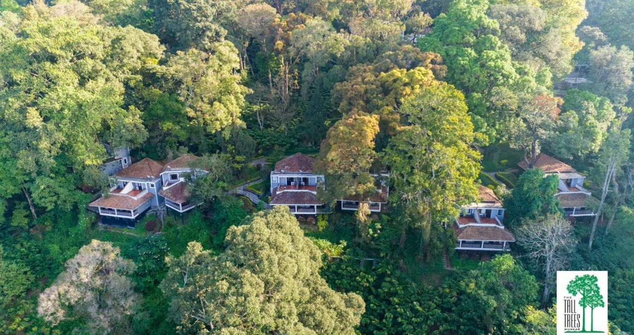The Tall Trees Munnar Bagian luar foto