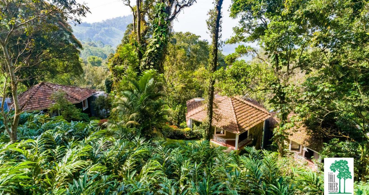 The Tall Trees Munnar Bagian luar foto