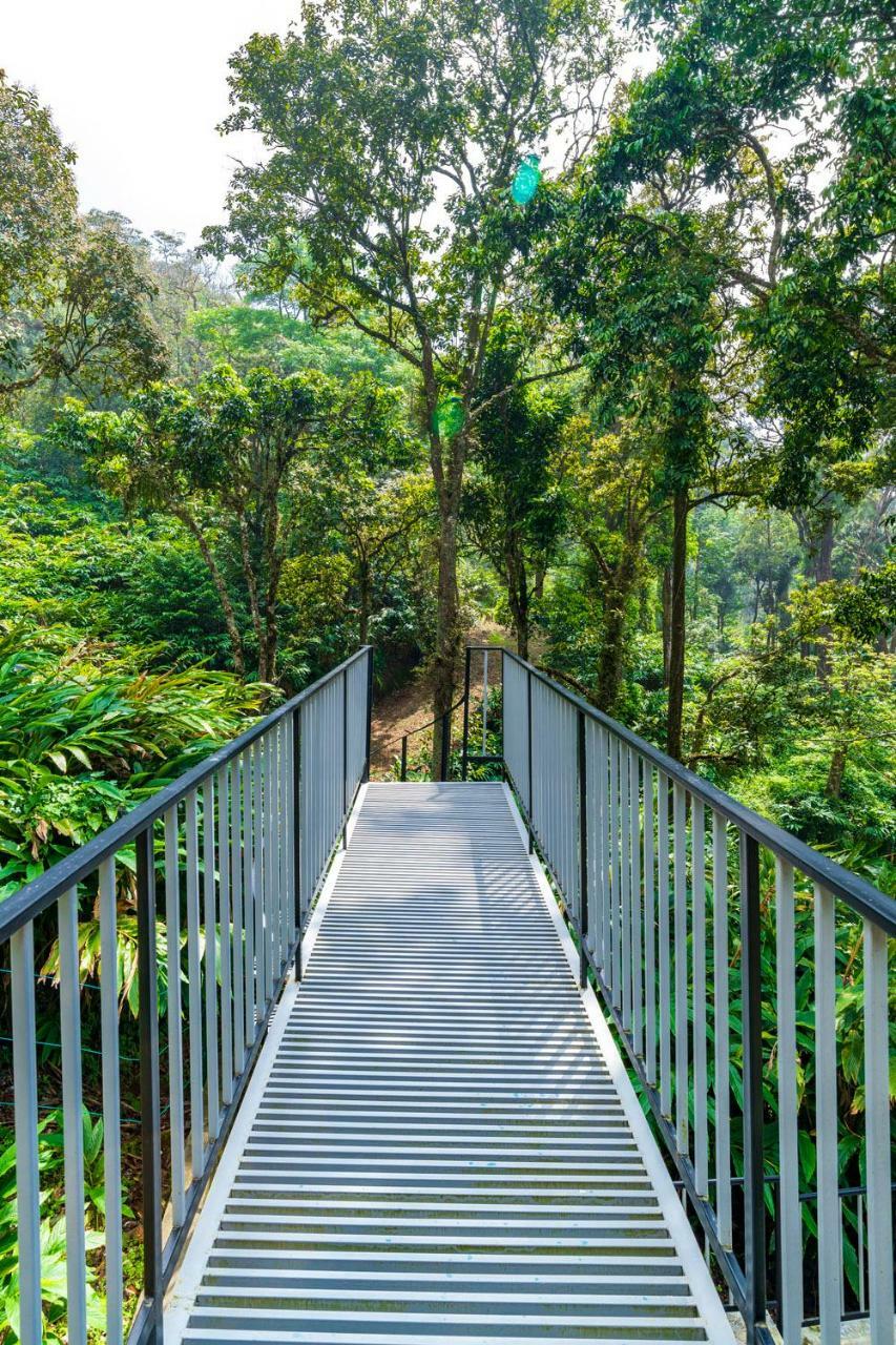 The Tall Trees Munnar Bagian luar foto