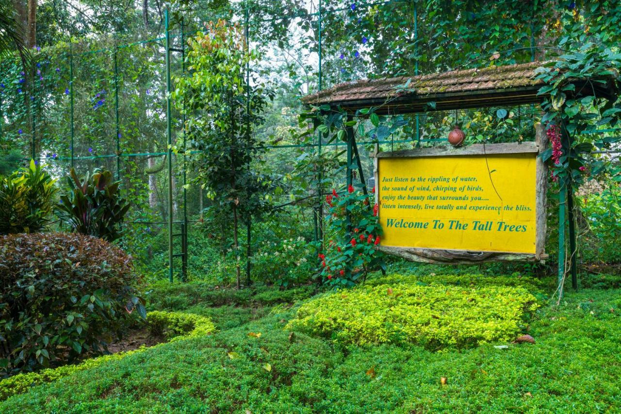 The Tall Trees Munnar Bagian luar foto