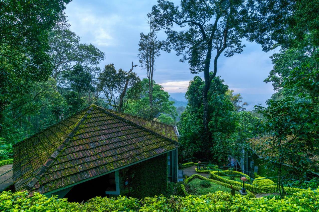 The Tall Trees Munnar Bagian luar foto